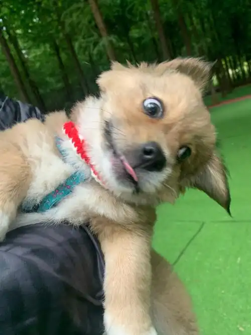 有个小孩被抱住超搞笑的