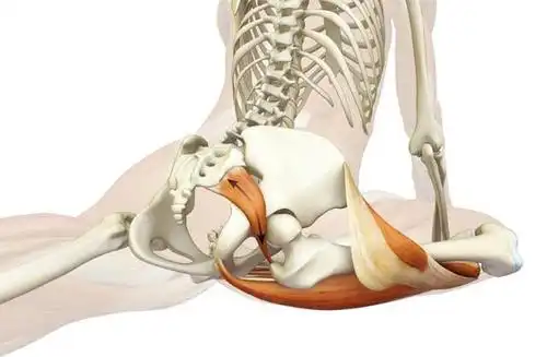 瑜伽思维:肌肉的觉知可以从鸽子式寻找梨状肌的伸展开始