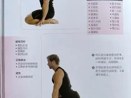 鸽子式拉伸,久坐办公人群臀背部紧张,拉伸训练书籍推荐