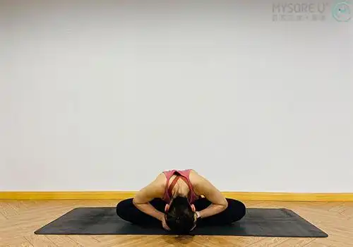 深圳瑜伽哈他基础学习哈他瑜伽双鸽式深圳迈索尔