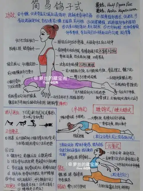 瑜伽笔记干货体式详解72简易鸽子式